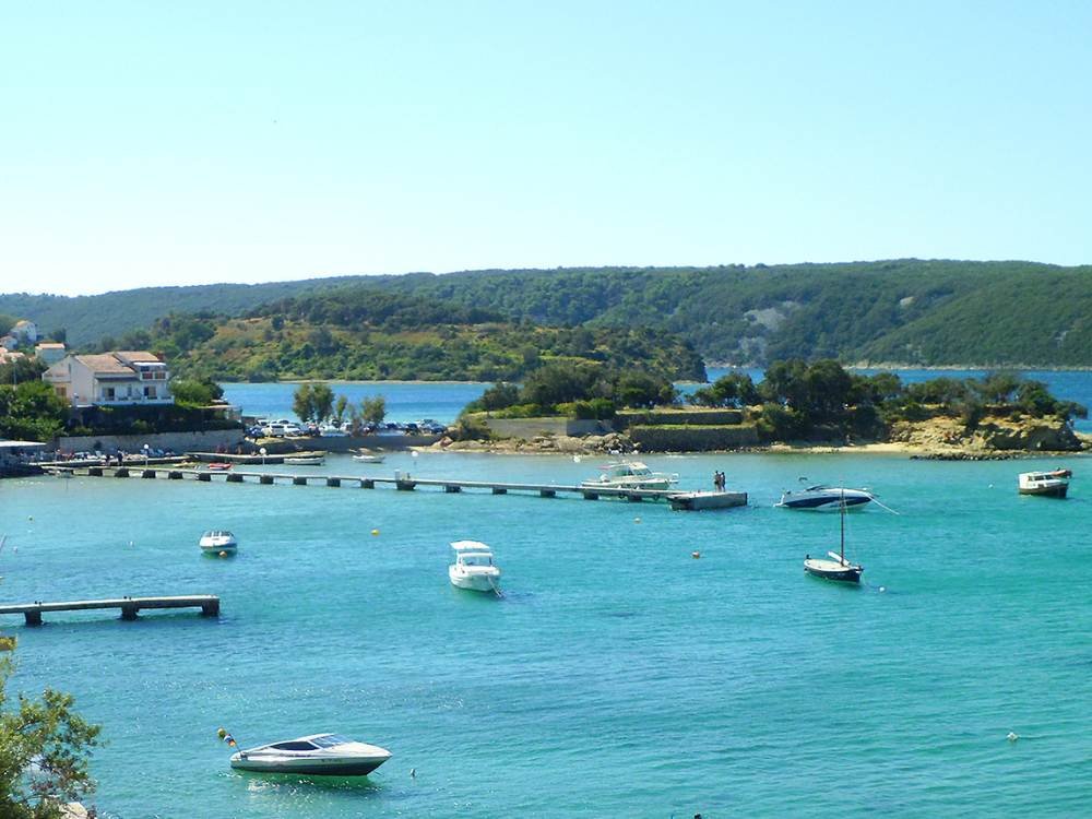 appmarenda6 appmarenda6